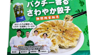 【10月18日(土)開催！】高校生が考えた「パクチー香るさわやか餃子」南伊豆マルシェで限定販売！